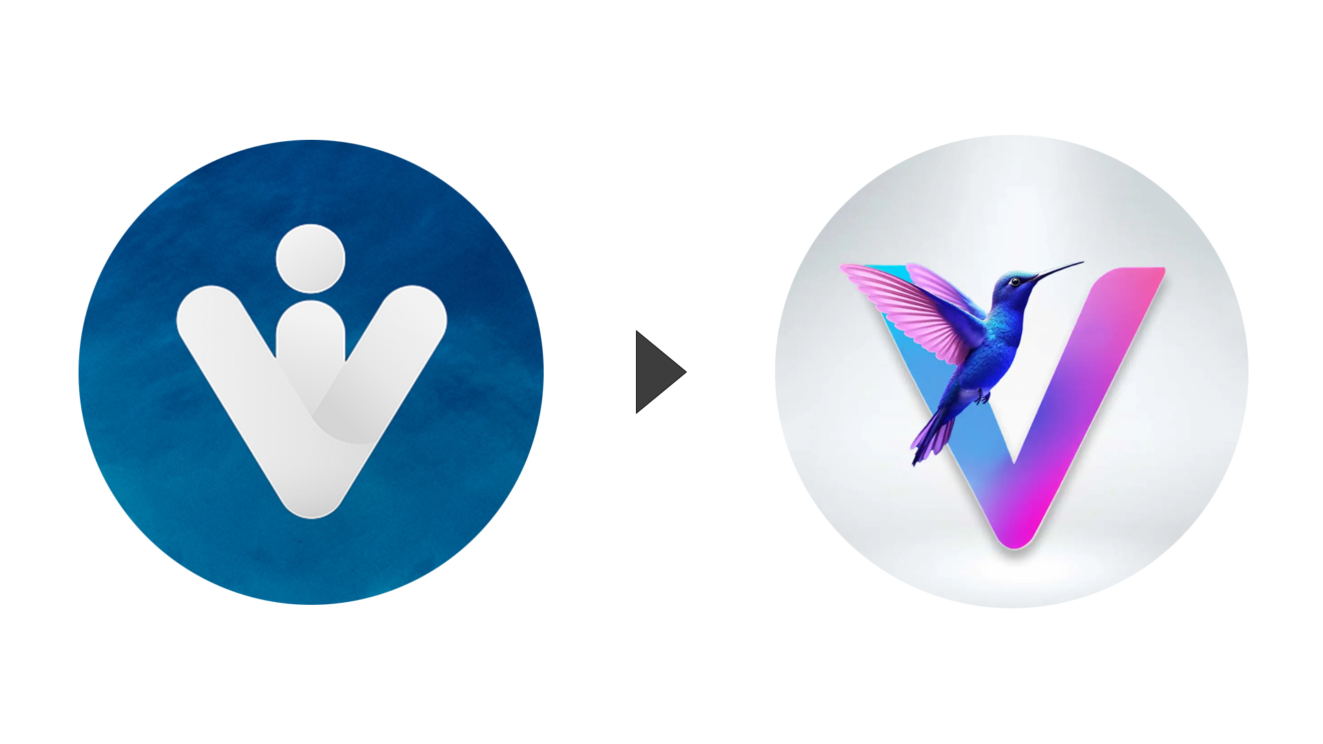 Visutate Update Journal